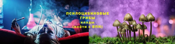 ешки Майский