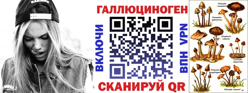 цена   Кирово-Чепецк  Галлюциногенные грибы мицелий 