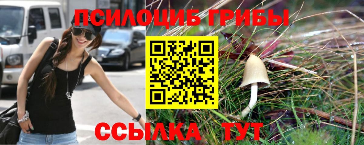Галлюциногенные грибы Psilocybe  Вход с VPN  купить  сайты  Кирово-Чепецк 