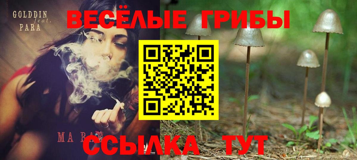 Псилоцибиновые грибы MAGIC MUSHROOMS Кирово-Чепецк